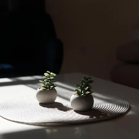 Dolce Brajda Апартаменты Риека